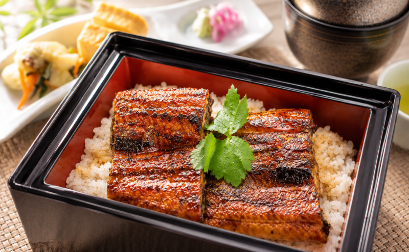 【レストランからのご案内】６月からの新ランチメニュー！